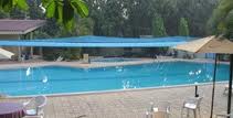 Swimming Pool Net